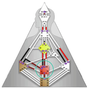 Schéma du cas pratique des types de générateur en Design Humain