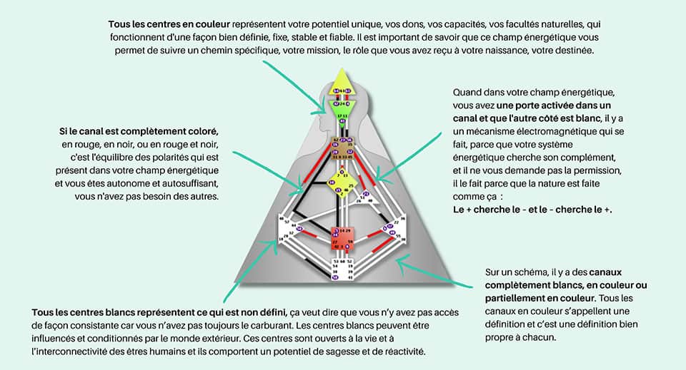 Schéma explicatif corporel en Human Design