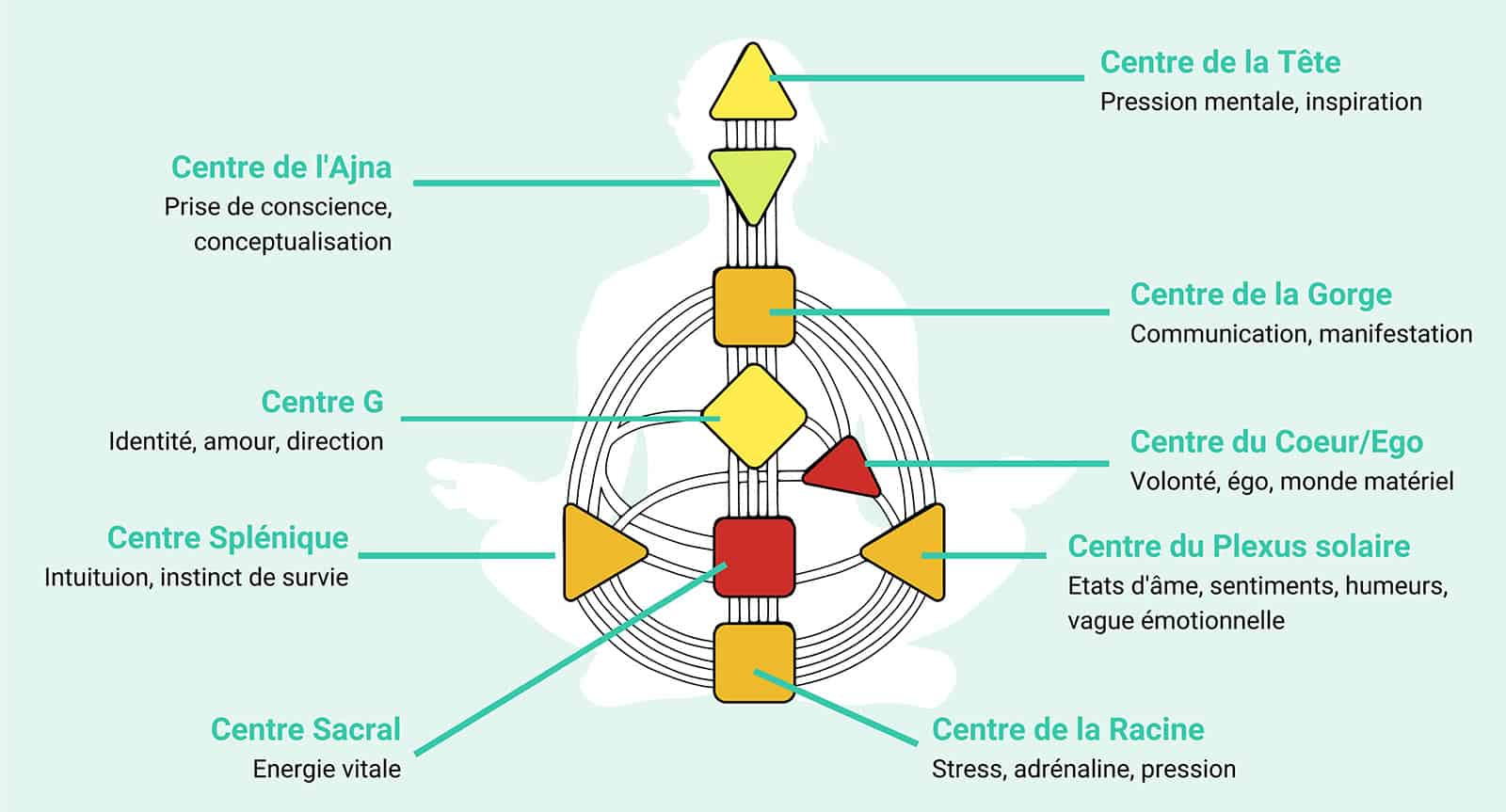 Schéma corporel en Human Design