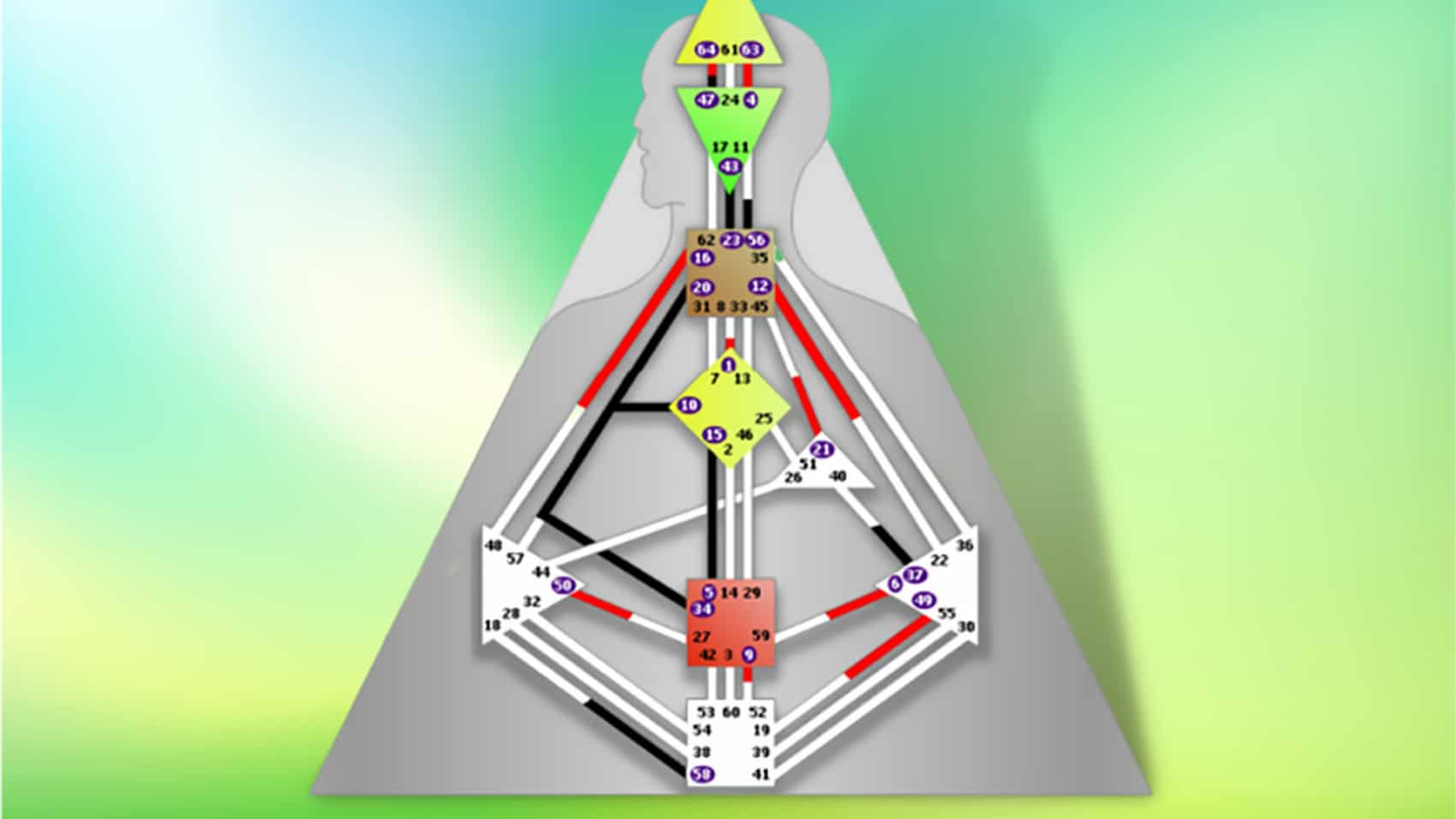 Mieux comprendre un schéma corporel en human design