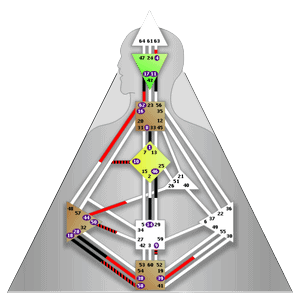 Schéma de l'article le projecteur en Human design